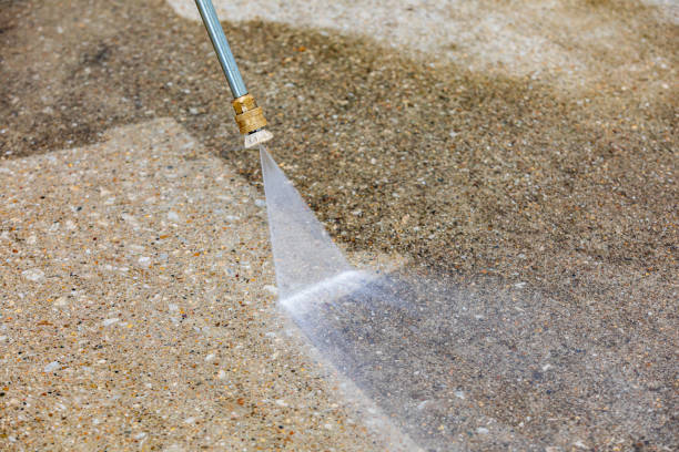 Best Sidewalk and Walkway Cleaning  in Clarendon Hls, IL